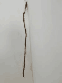 QQͼƬ20210428075217.png